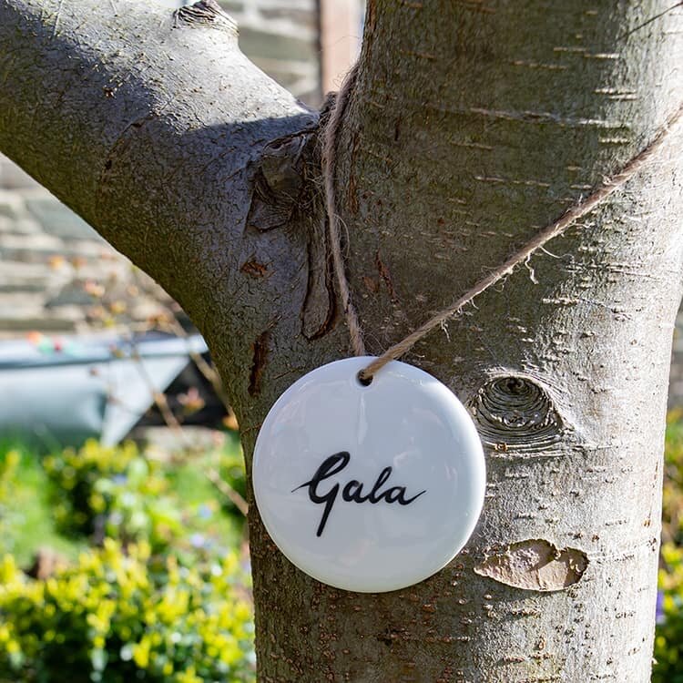 Apfelsorten-Schild mit Aufschrift "Gala" an einem Baum hängend